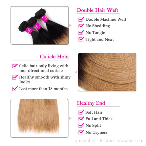 1B 27 Factory Hot Sale Virgin Straight Human Hair Raw Cuticle Aligned Hair Orange Ombre Colored Virgin Hair Bundle